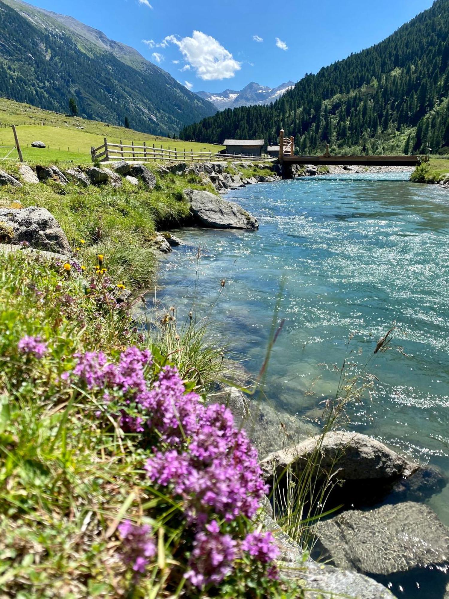 Landhaus Rosengartl Krimml Daire Oberkrimml Dış mekan fotoğraf